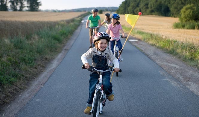 Fähnchen/Wimpel Kinder Fahrrad